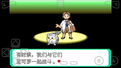 究极绿宝石6·5魔法棒版安卓