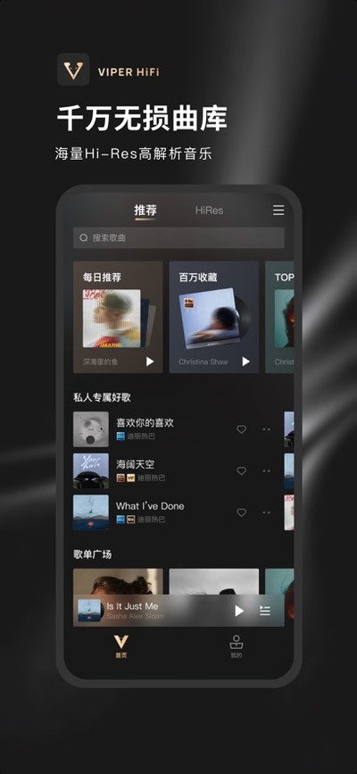 VIPERHiFi官方版 VIPERHiFi官方版