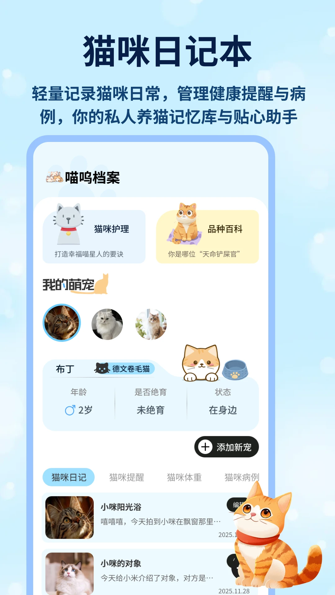 猫咪破解版 猫咪破解版