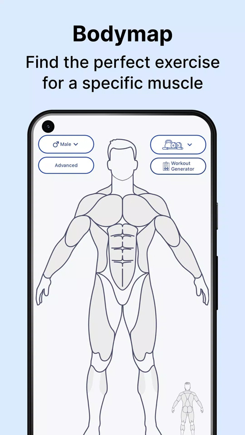 musclewiki手机版 musclewiki手机版