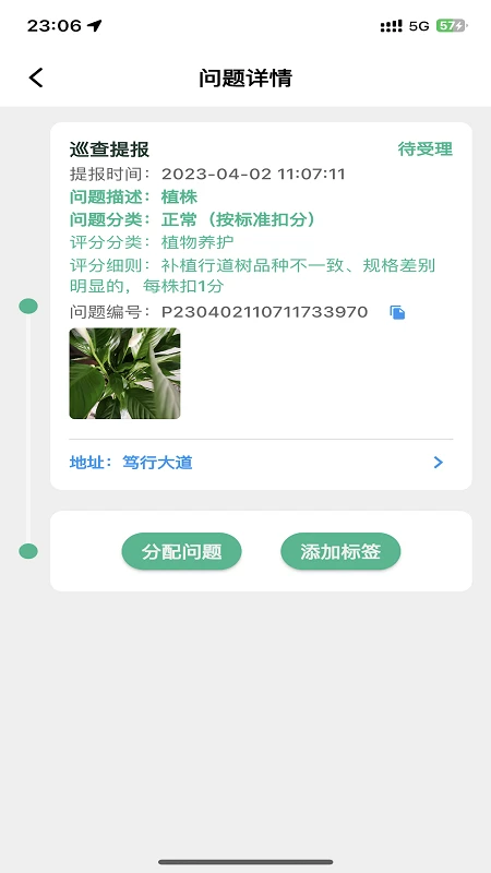 数字园林