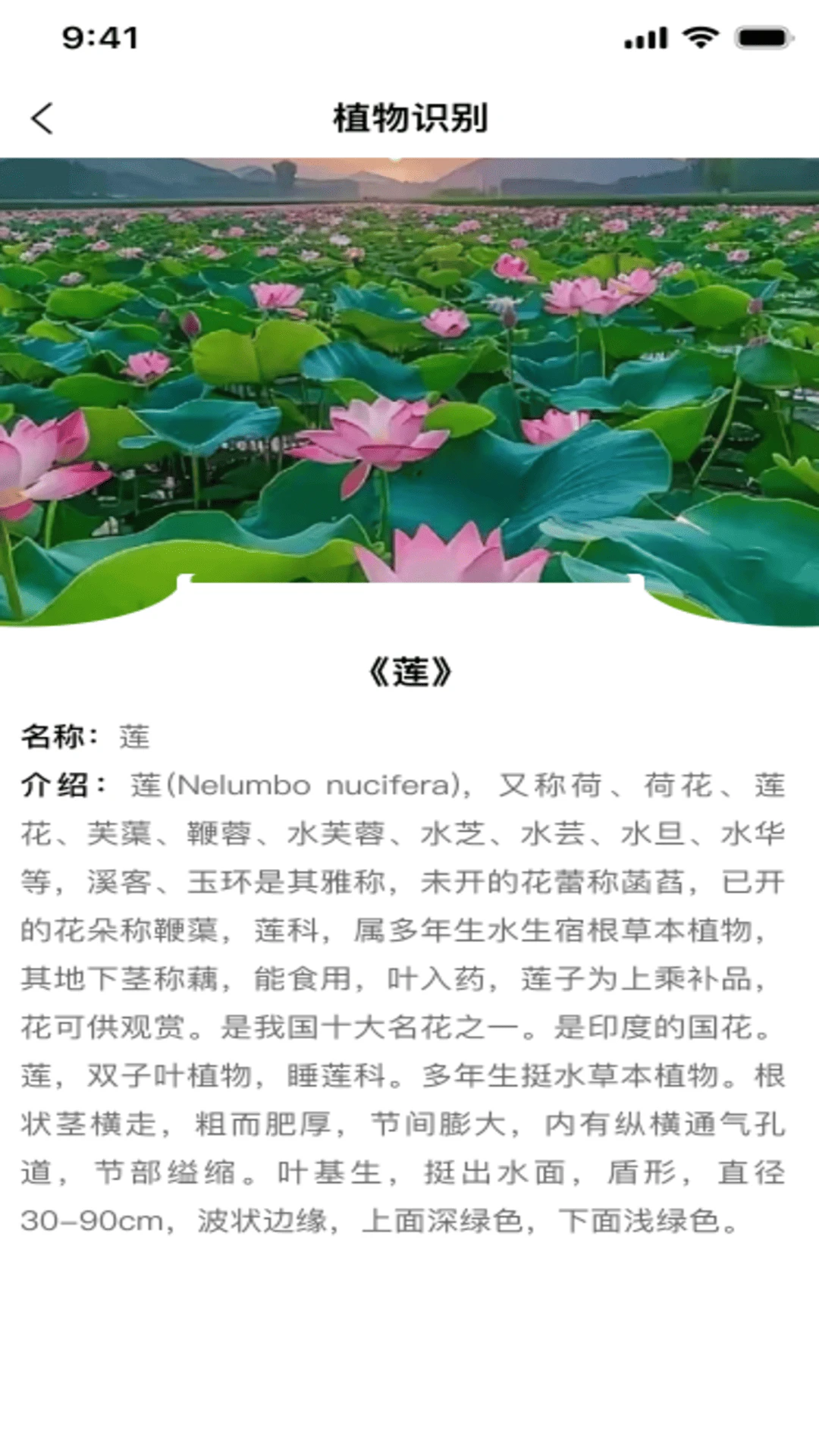 电子身份管理