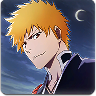 境界魂之觉醒（Bleach）