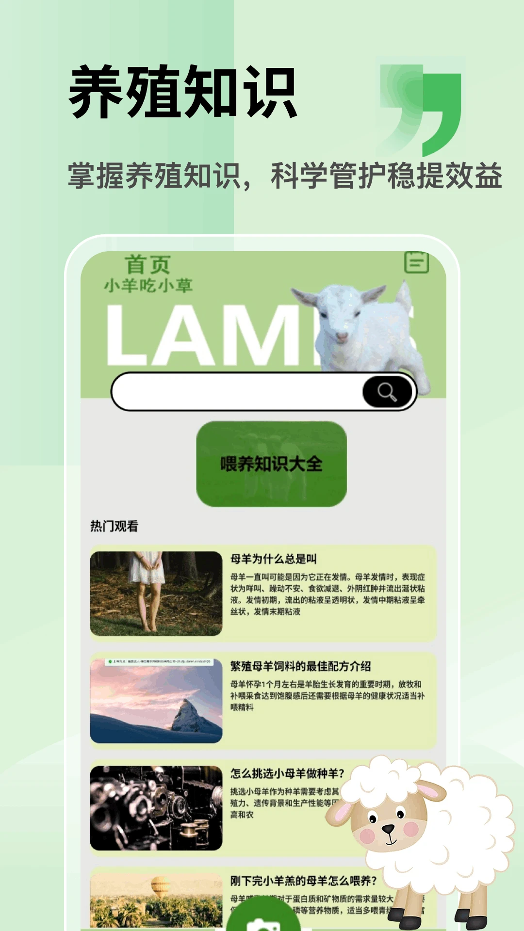 富贵小羊