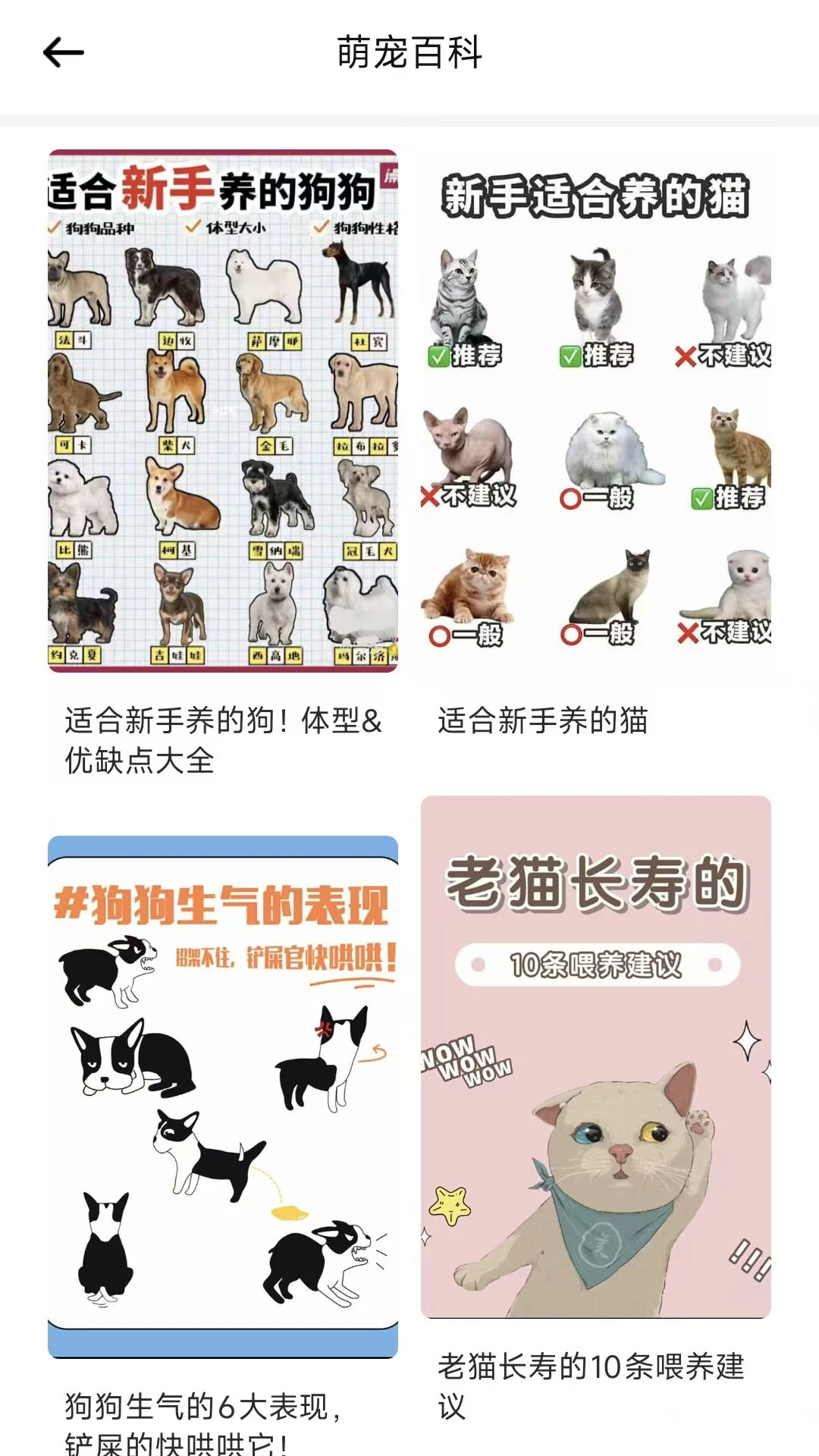 海马窝宠物