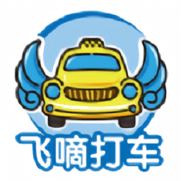 飞嘀车主