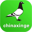 中信网-信鸽信息网