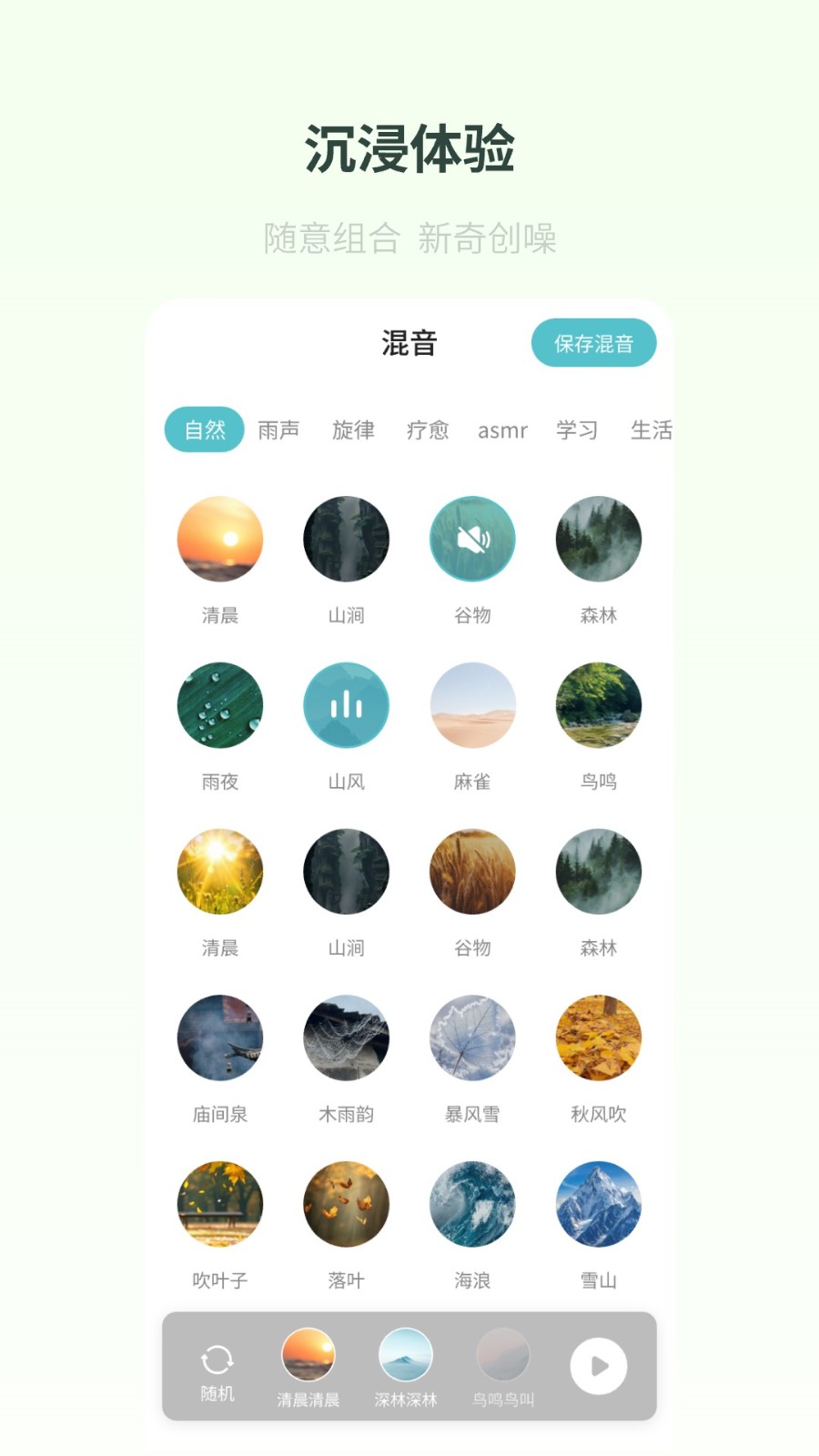 梵花田 梵花田