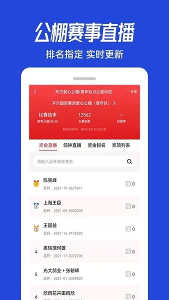 青鸽网