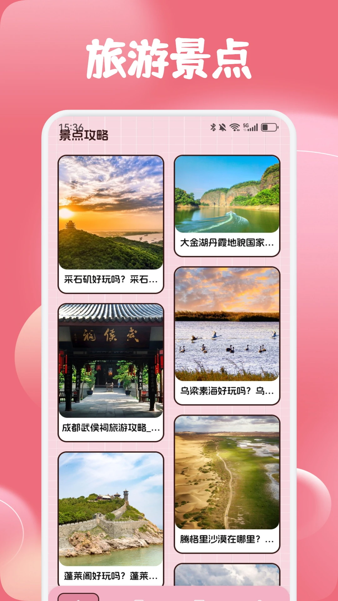 杤蚁归途 杤蚁归途