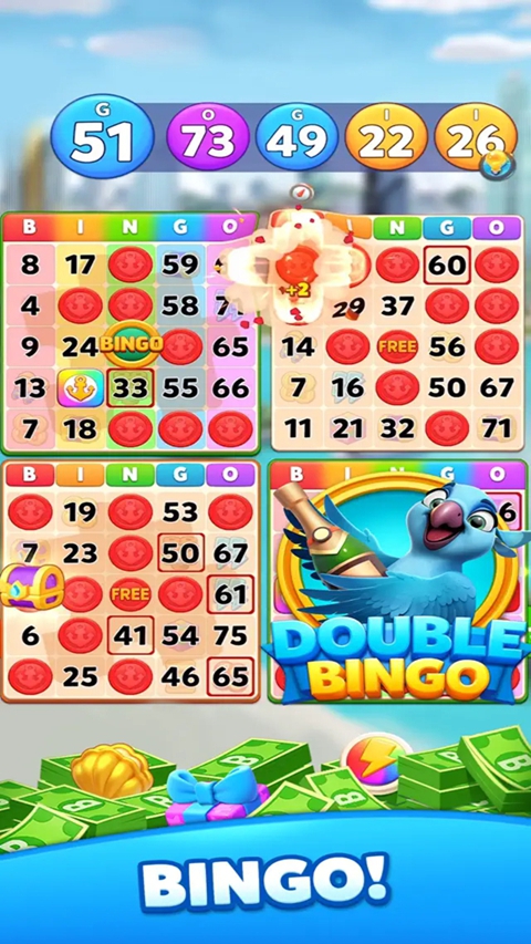 Bingo Voyage安装器 Bingo Voyage安装器