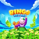 Bingo Voyage安装器