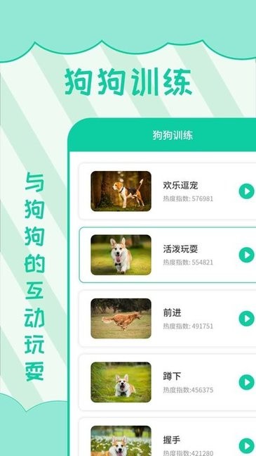人狗翻译 人狗翻译