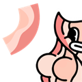 Bacon安装器