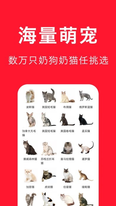 宠物宝-一站式宠物服务平台 宠物宝-一站式宠物服务平台