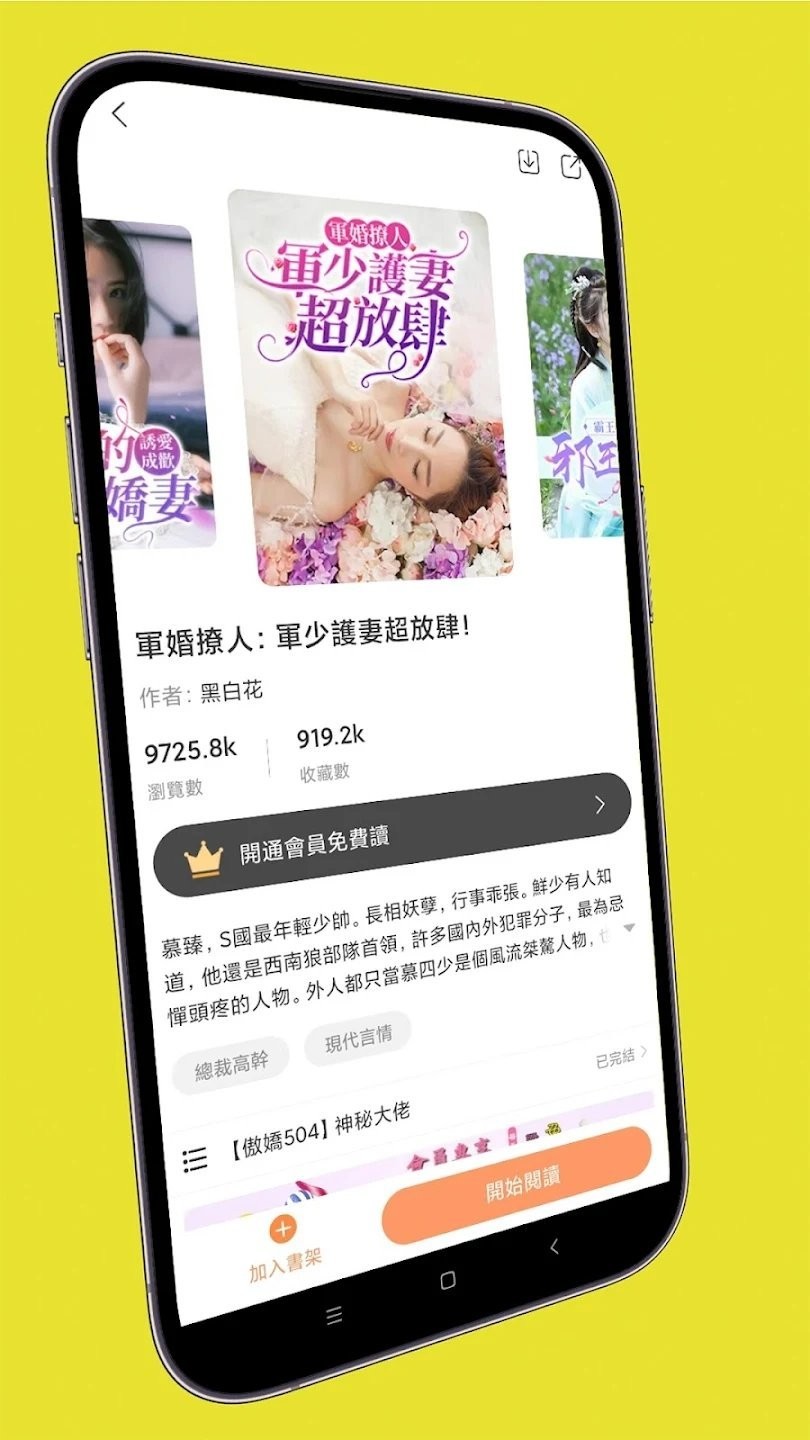 喜鵲小說極速版
