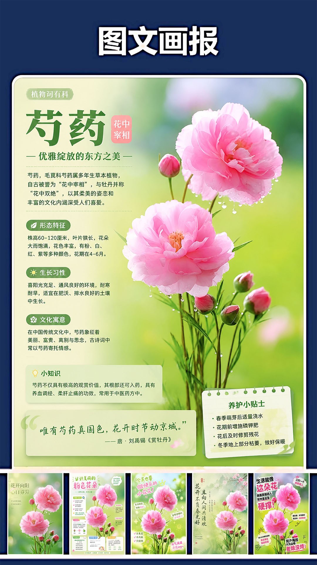 修复P图王 修复P图王