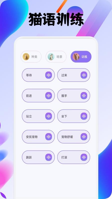筑梦猫舍宠趣