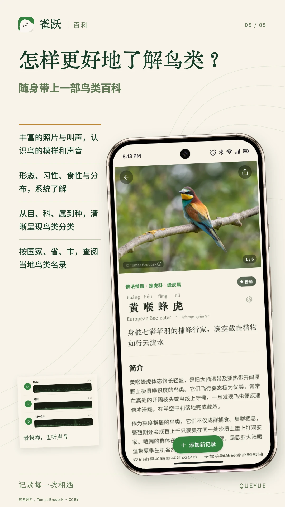 雀跃 雀跃