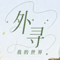 外寻AI