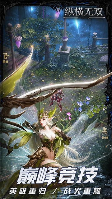 纵横无双 纵横无双