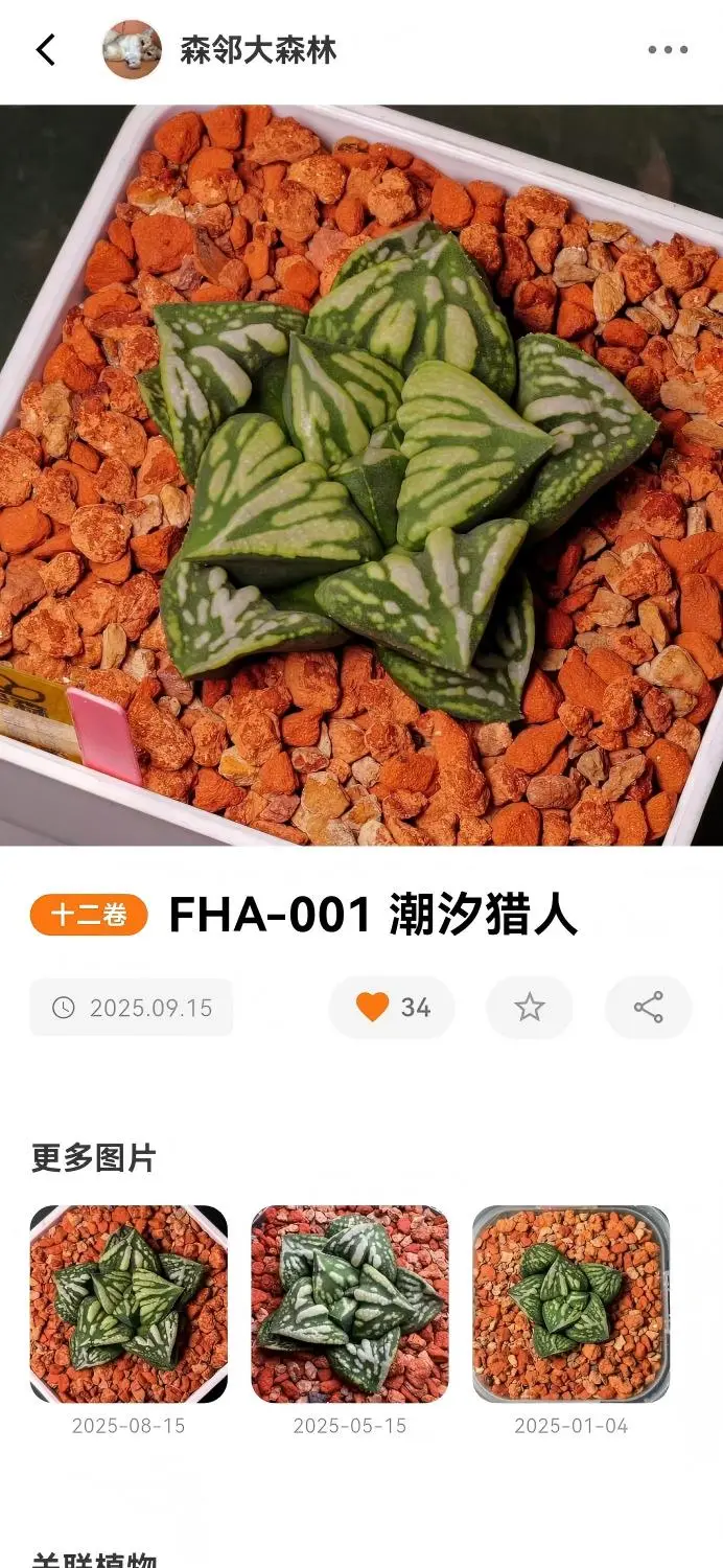 园艺圈 园艺圈