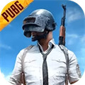 pubgmobile(国际服)
