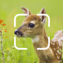 TrailCam Go2.10.4 官方版