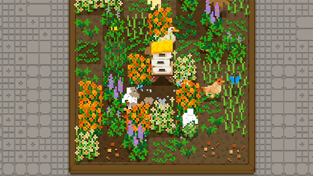 小小梯田