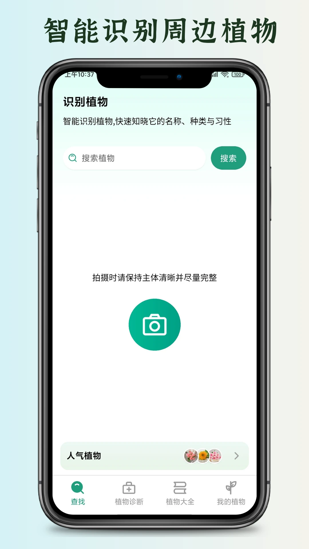 花草君 花草君