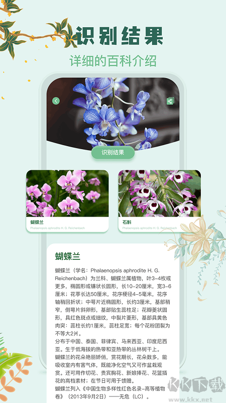 识花君