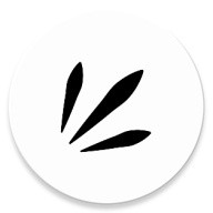 raysource
