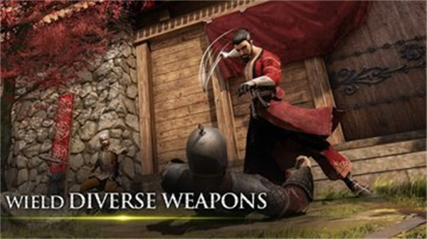 忍者武士隆 忍者武士隆