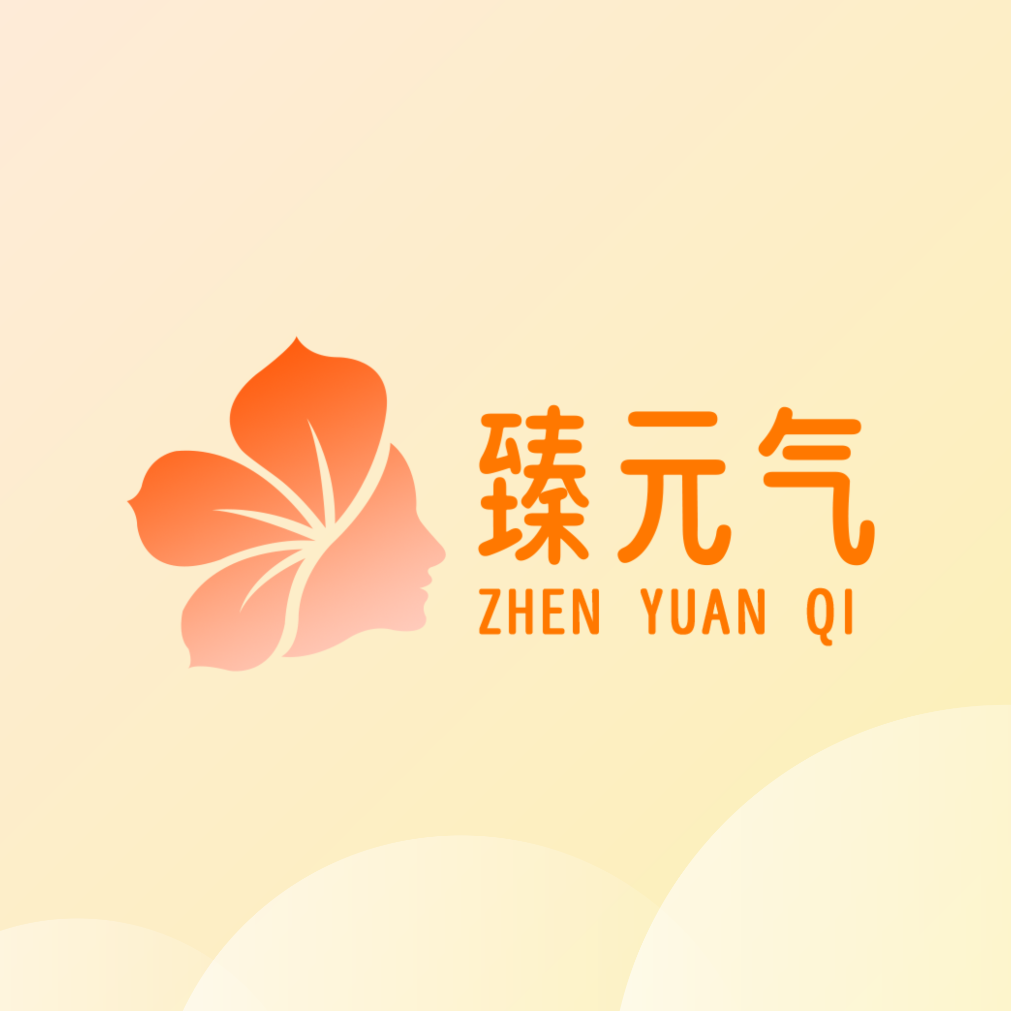 臻元气