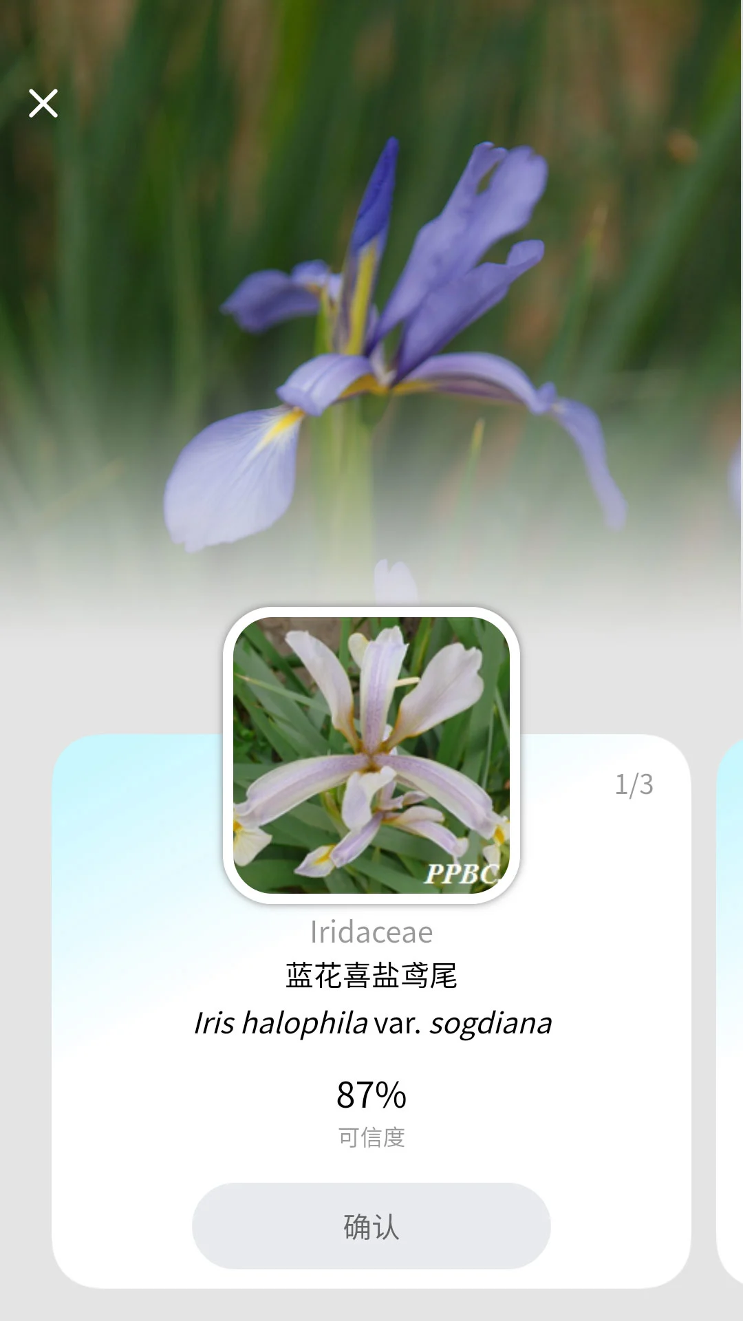 花伴侣专业版